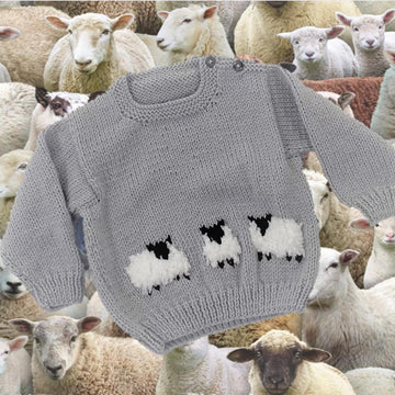 Aran Baby Sheep Sweater and Hat