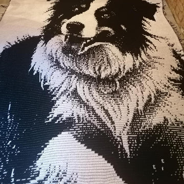 Overlay Mosaic "BORDER COLLIE 2"