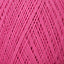 Fuchsia (05)
