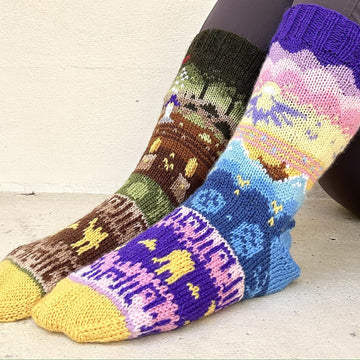 Socks of the Hero