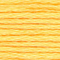 Gold Splendour (VAS1212)