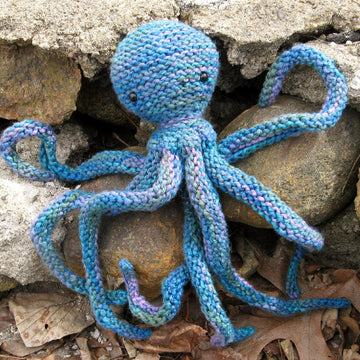 Acht the Octopus