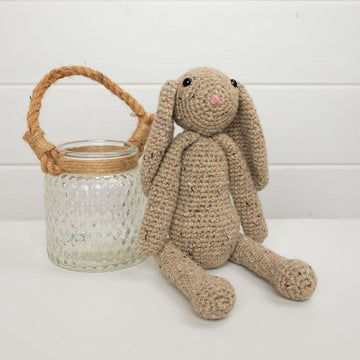 Amelia the Rabbit