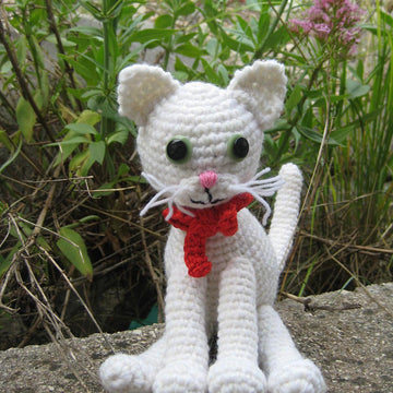 White cat