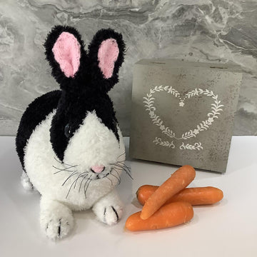 Dutch Bunny Rabbit