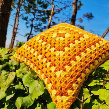 Pumpkin Spice 26 Cushion