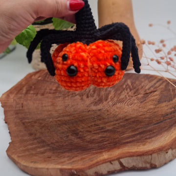Bundle Pumkin spider jack pumkin