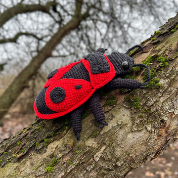 Red Firebug