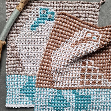 Blue-footed booby washcloths