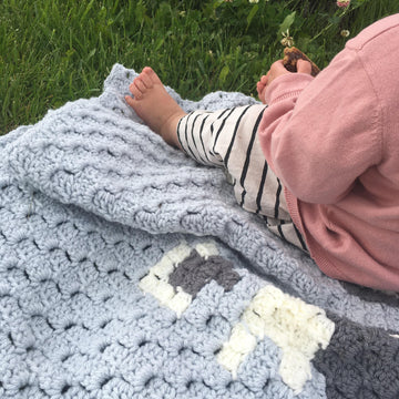 Bandit (raccoon) stroller blanket