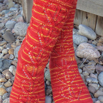 Griffindor Transfiguration Socks