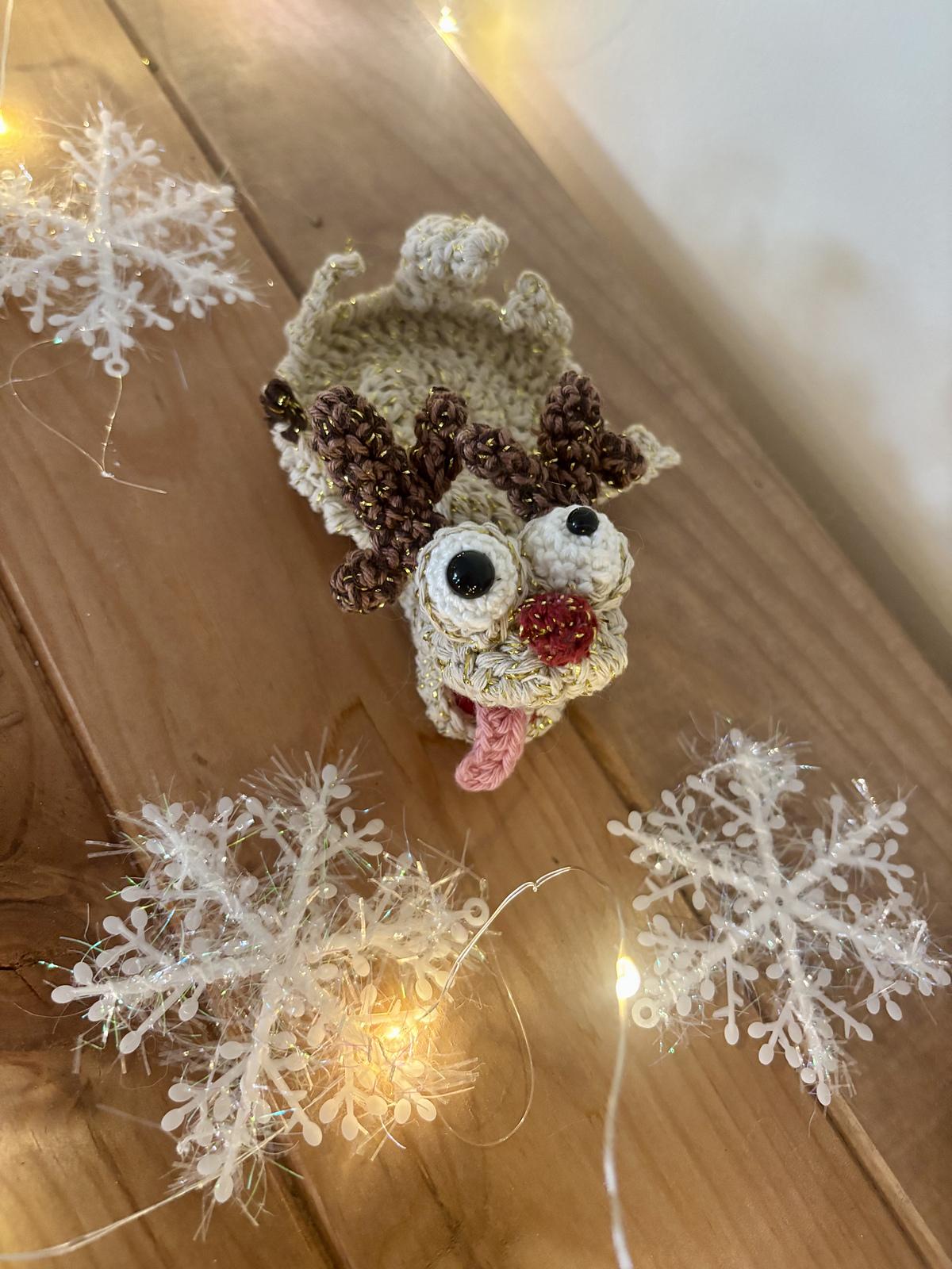 Reindeer Coaster