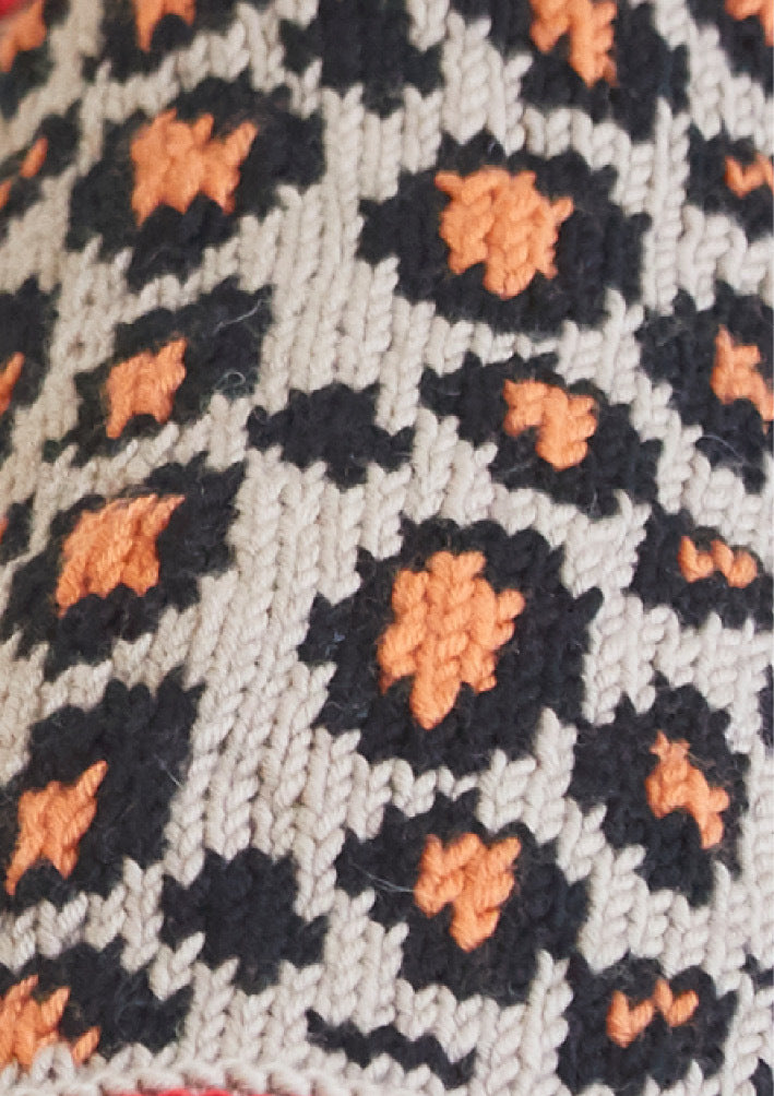 Leopard Pooch - Dog Coat Knitting Pattern For Pets in Debbie Bliss Rialto Aran by Debbie Bliss