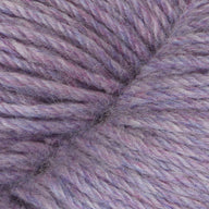 Hydrangea (19)