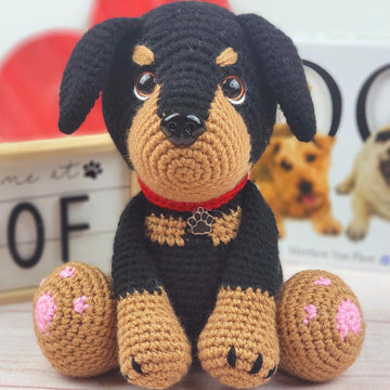 Rambo the Rottweiler
