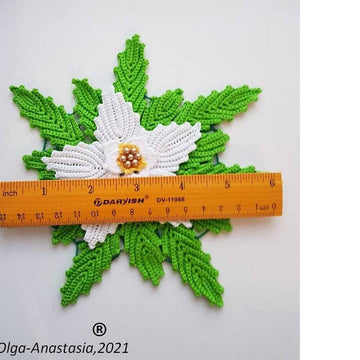 Poinsettia  white