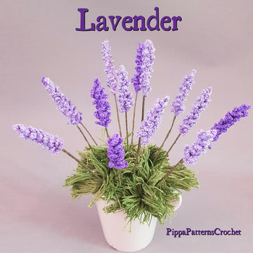 Lavender
