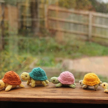 Turtle Family