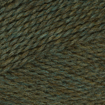 Evergreen (78134)