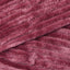 Rose (06)