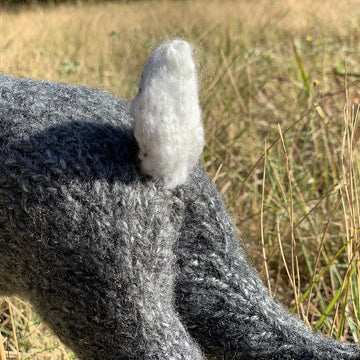 McGregor's Rabbit