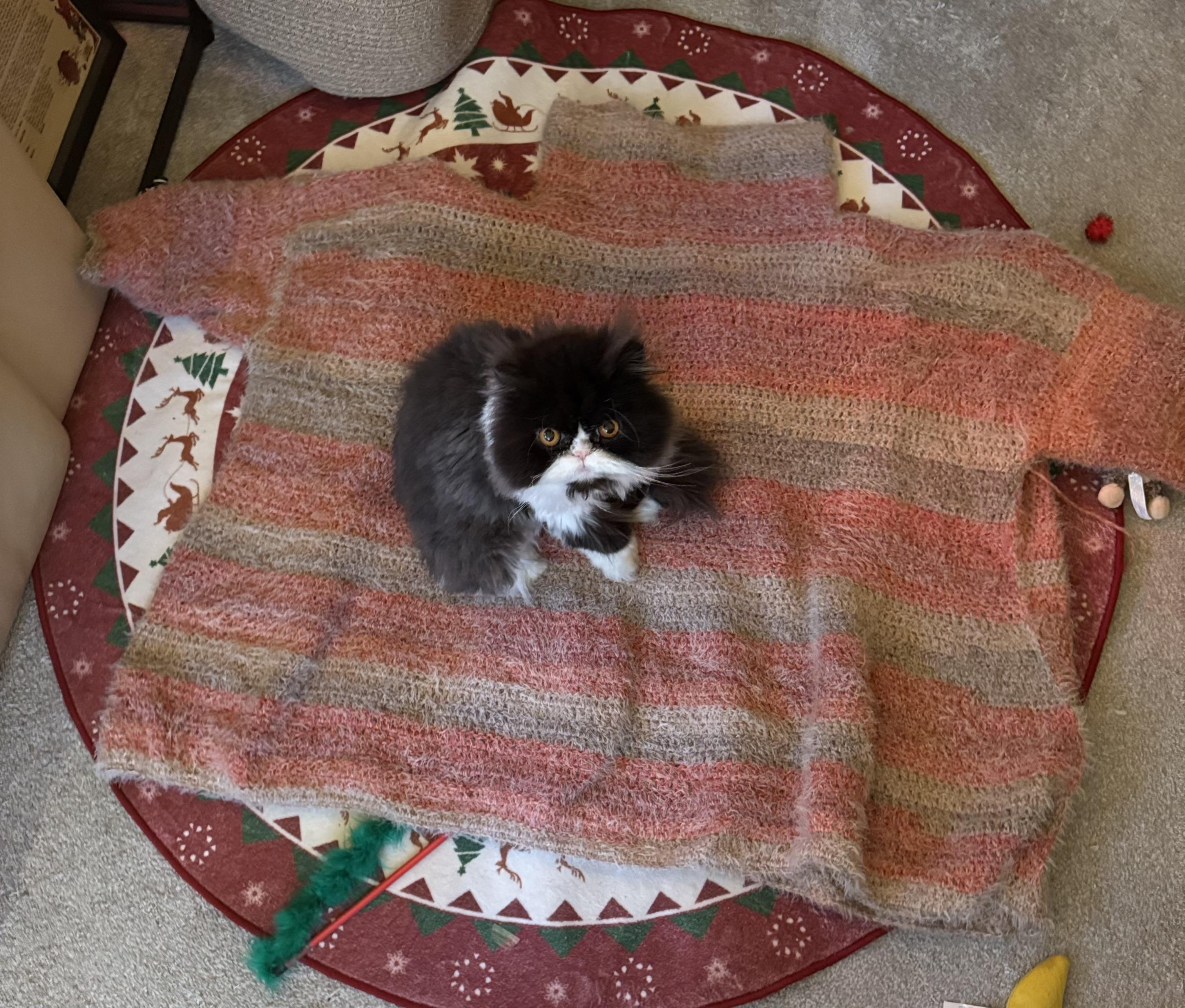 Molly's EASY Blanket Sweater