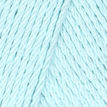 Robin's Egg (28003)