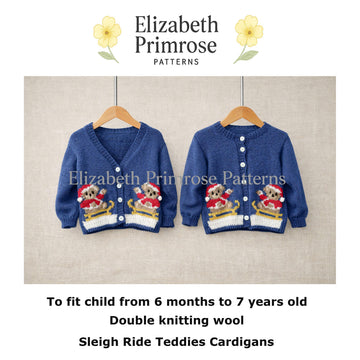 Sleigh Ride Teddies Cardigan P163