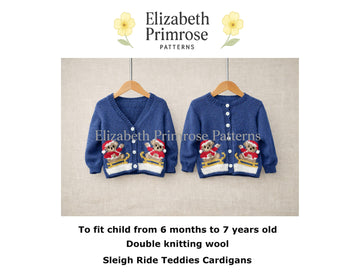 Sleigh Ride Teddies Cardigan P163