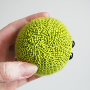 Marimo Moss Balls