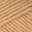 Light Caramel (908)
