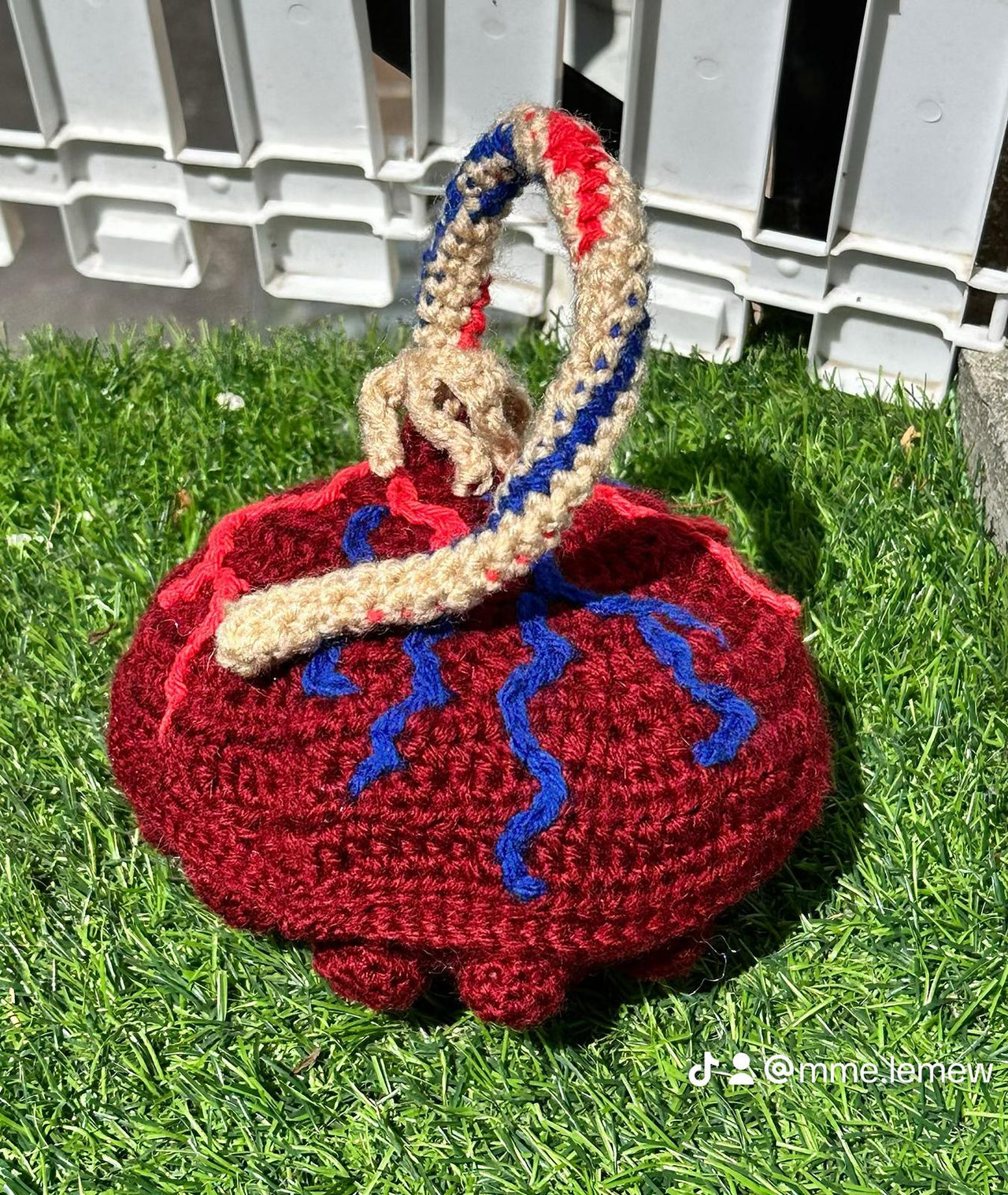 Anatomical Placenta