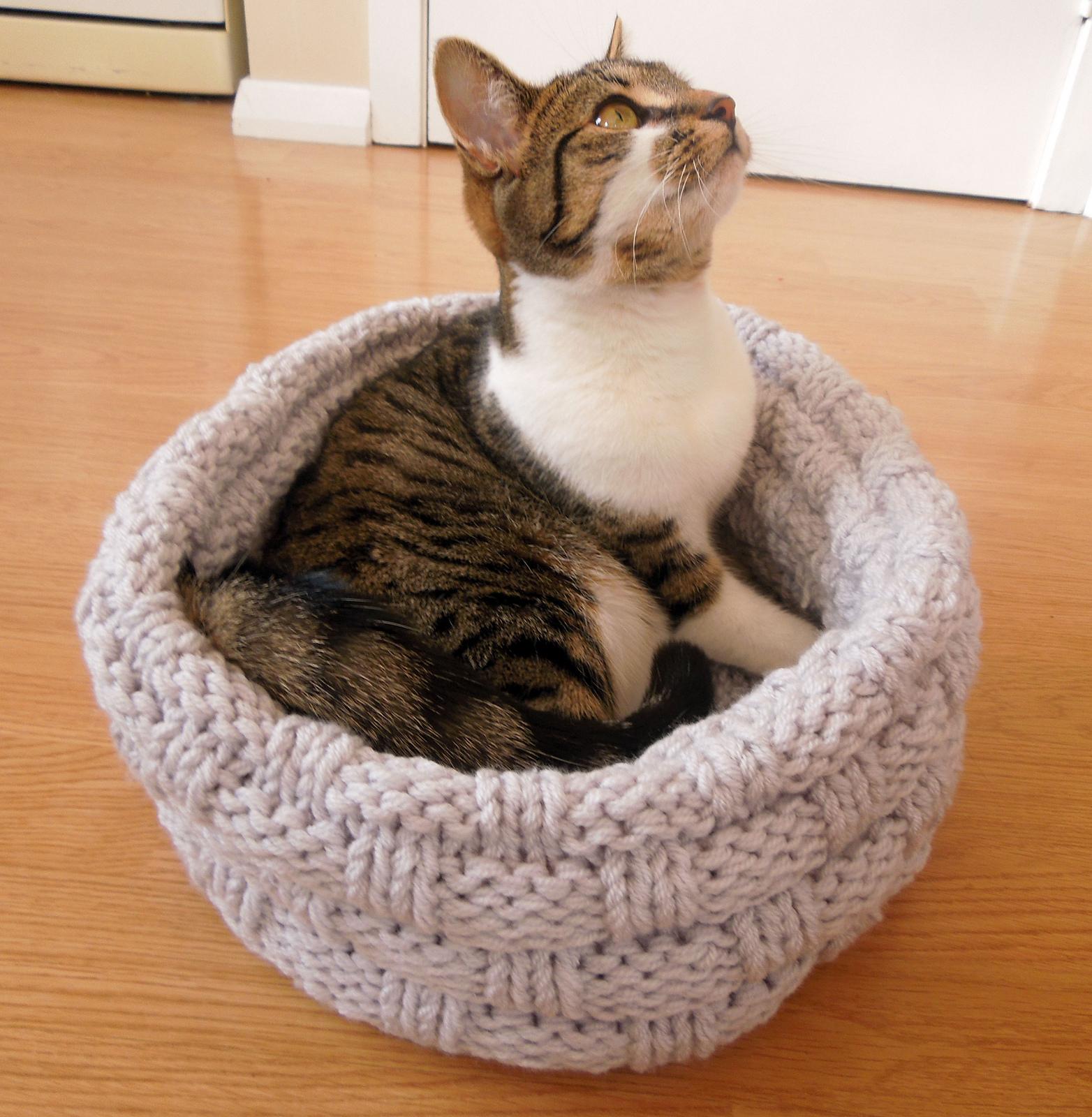 Cat Bed