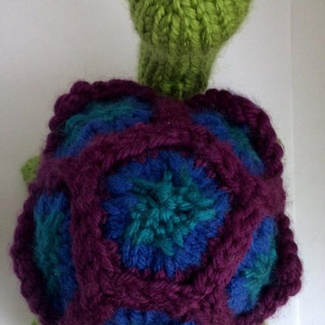 Booties The Turtle