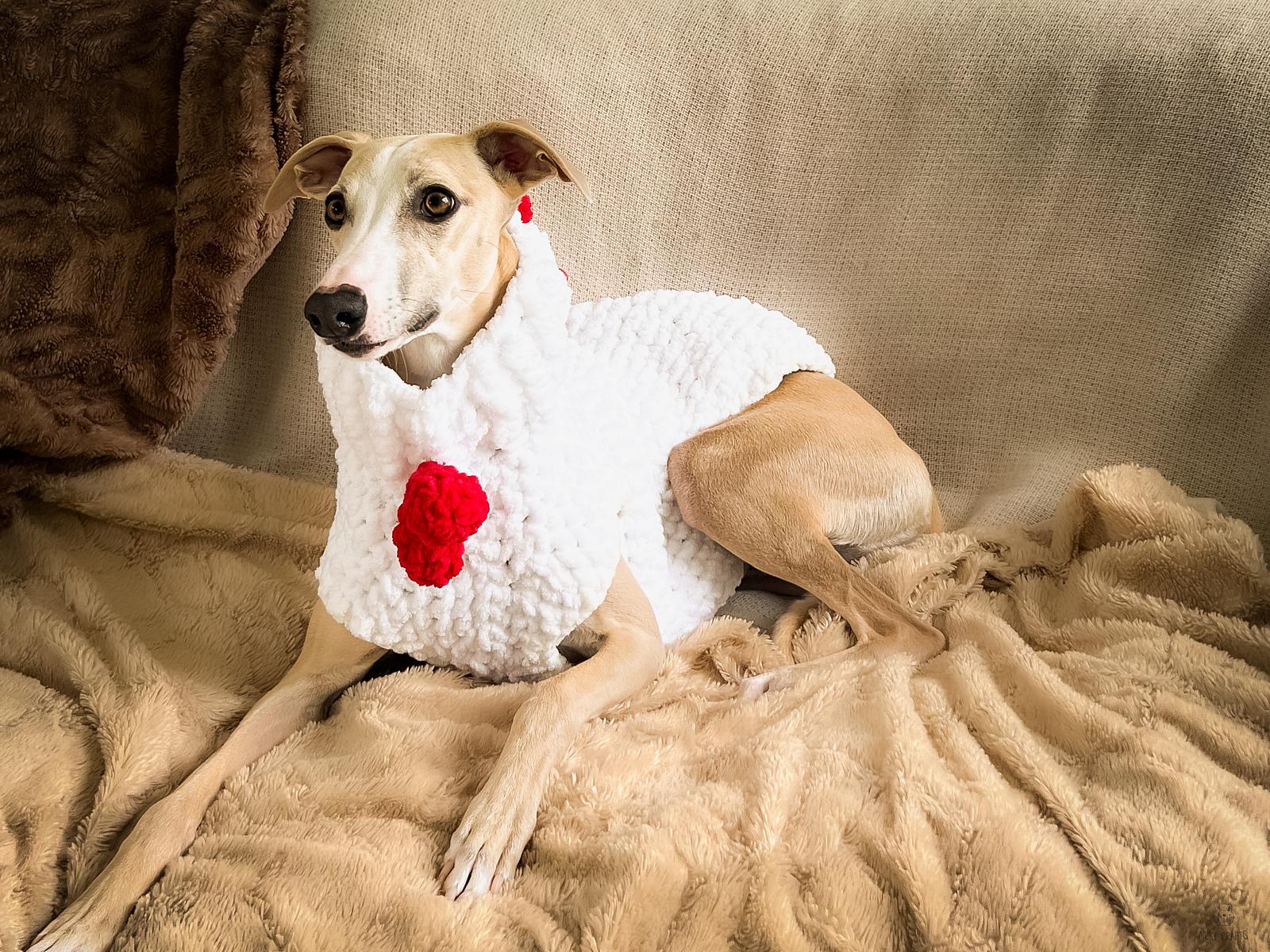 Doggo 21 sweater