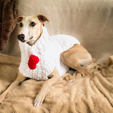 Doggo 21 sweater