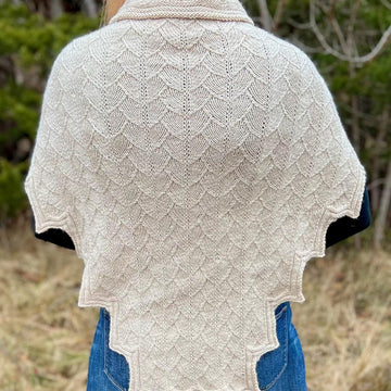 Delphyne Shawl