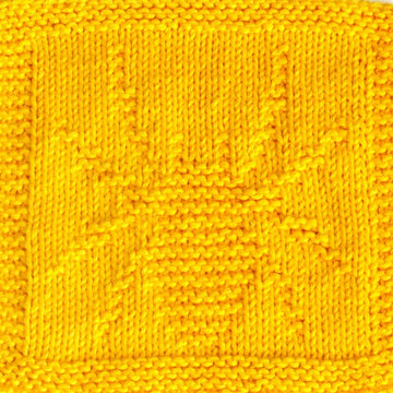 SPIDER Cloth
