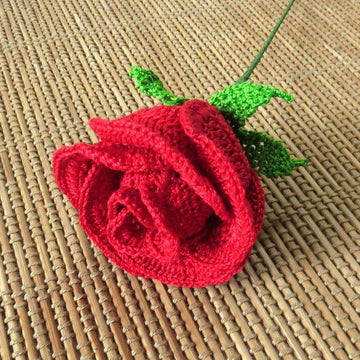 Rose half open bud