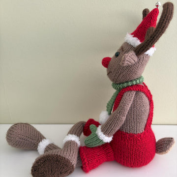 Robbie and Rosie the reindeer