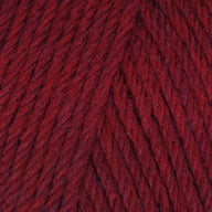 Raspberry (95131)