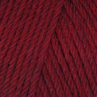 Raspberry (95131)