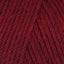 Raspberry (95131)