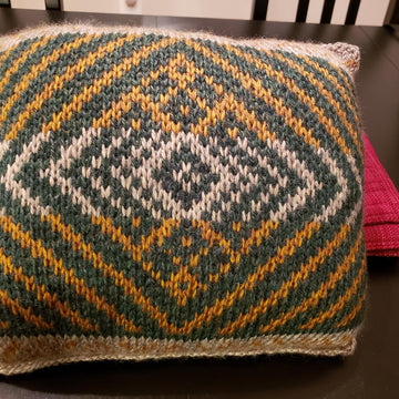 School Spirit pillow