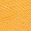 Mustard Yellow (1423)