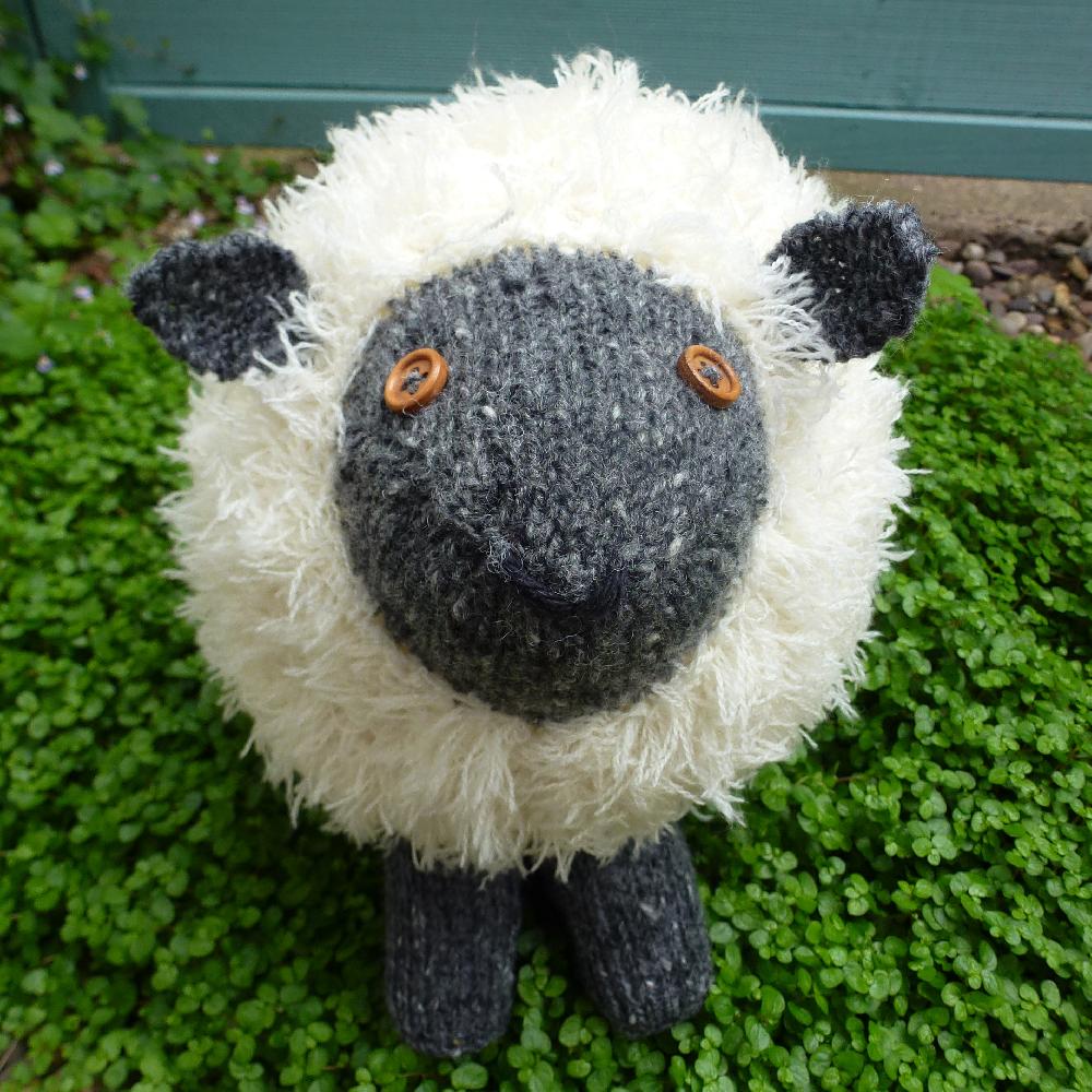 Shuggie Sheep