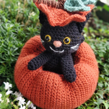 Kit Cat the Halloween Cat with Pumpkin