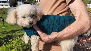 Purl Stripe Dog Sweater