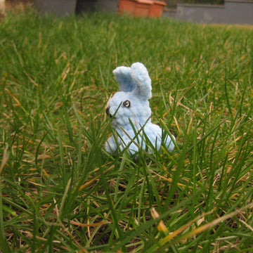 Little Bunny
