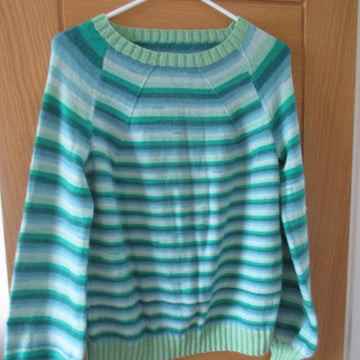 Simple Raglan Sweater
